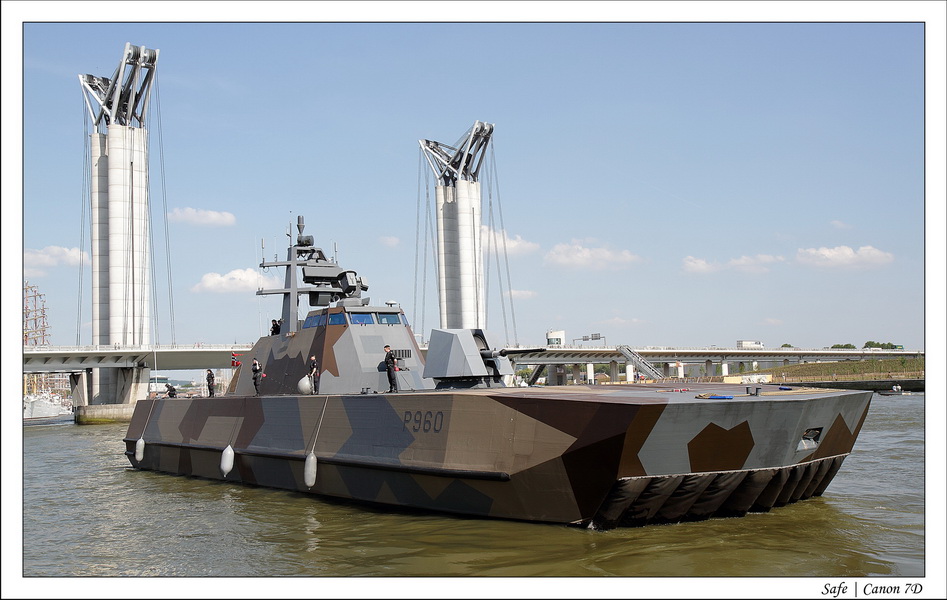 2013 - 06 - Armada Rouen 184